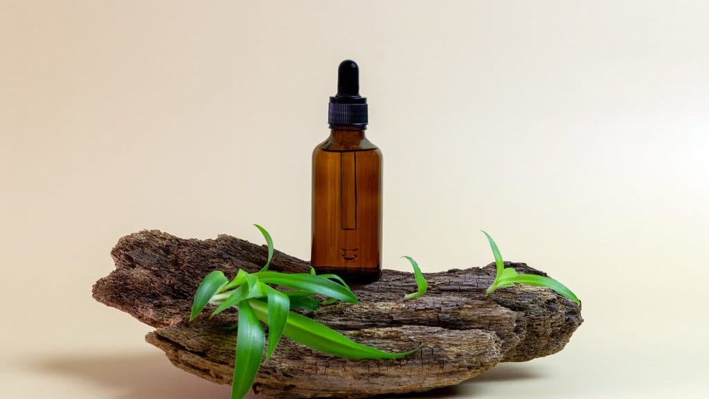 12 Rekomendasi Parfum Wangi Aroma Teh Terbaik & Tahan Lama 12 Rekomendasi Parfum Wangi Aroma Teh Terbaik & Tahan Lama