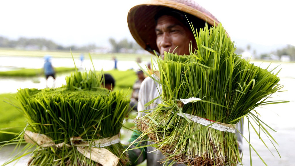 Twibbon Hari Tani Nasional 2025 Gratis untuk di Sosmed
