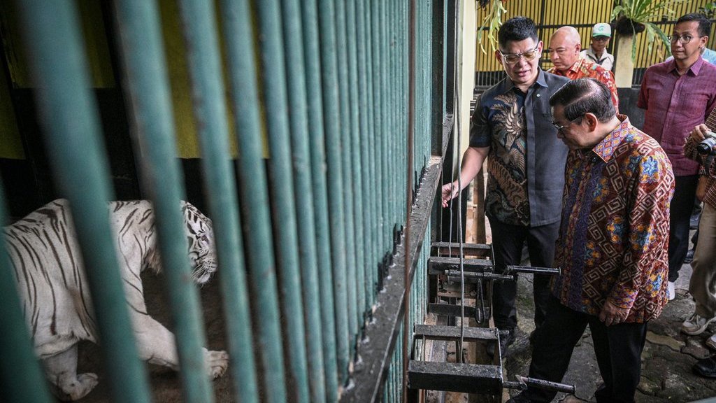 Fraksi PSI Dorong Riset Pasar Sebelum Ragunan Dibuka Malam Hari Fraksi PSI Dorong Riset Pasar Sebelum Ragunan Dibuka Malam Hari