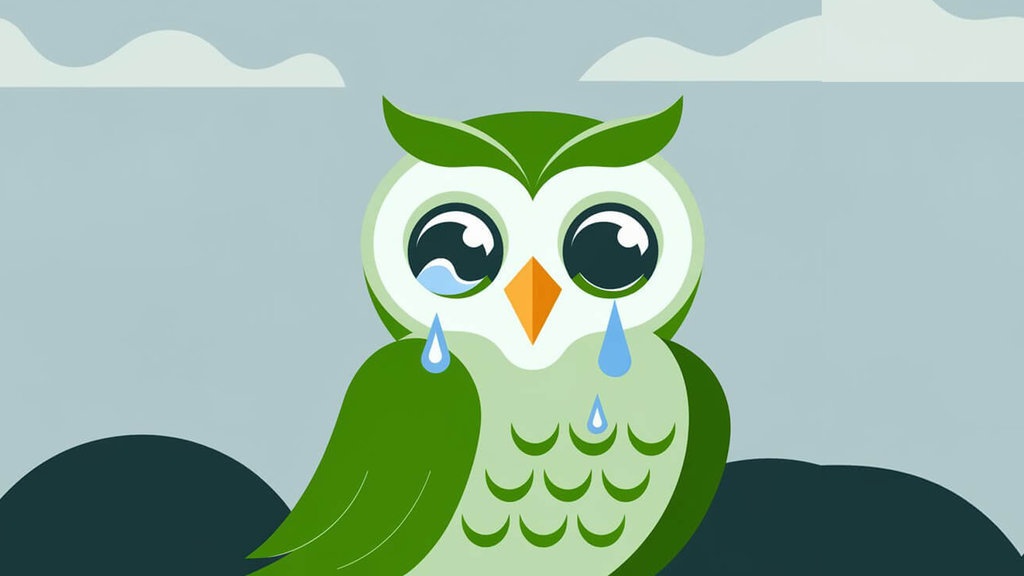 Duolingo: Platform Belajar Bahasa, tapi Risikonya Kebocoran Data Duolingo: Platform Belajar Bahasa, tapi Risikonya Kebocoran Data