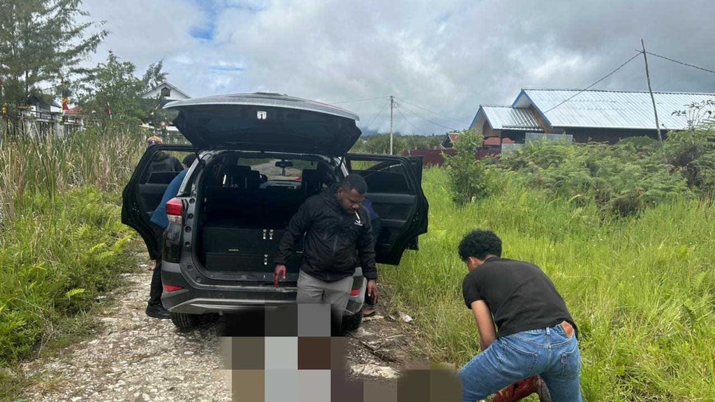 Polisi Usut Serangan 2 Warga Sipil di Distrik Tigi Papua Polisi Usut Serangan 2 Warga Sipil di Distrik Tigi Papua