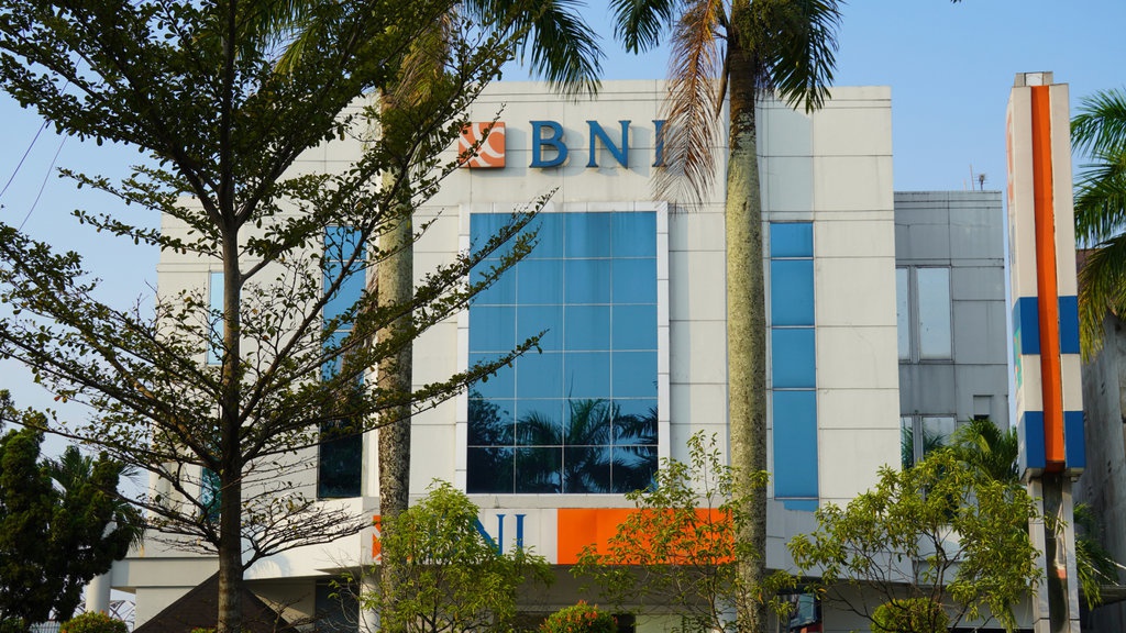 BNI akan Salurkan Dana Excess Reserve ke UMKM & Pembiayaan Hijau