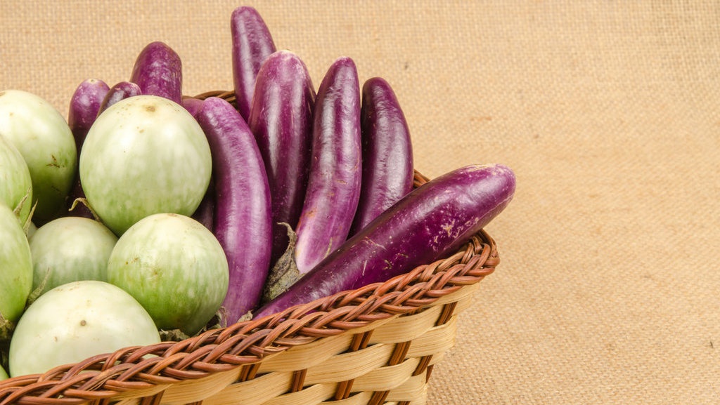 Nikotin yang Sering Disalahpahami Nikotin yang Sering Disalahpahami