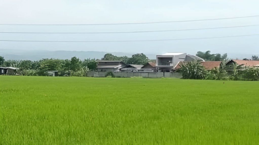 Persawahan Jadi Perumahan, Kemandirian Pangan Cirebon Terancam