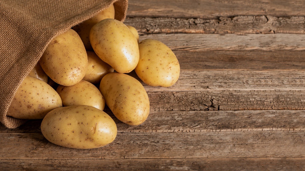 Nikotin dan TAR: Mana yang Berbahaya?