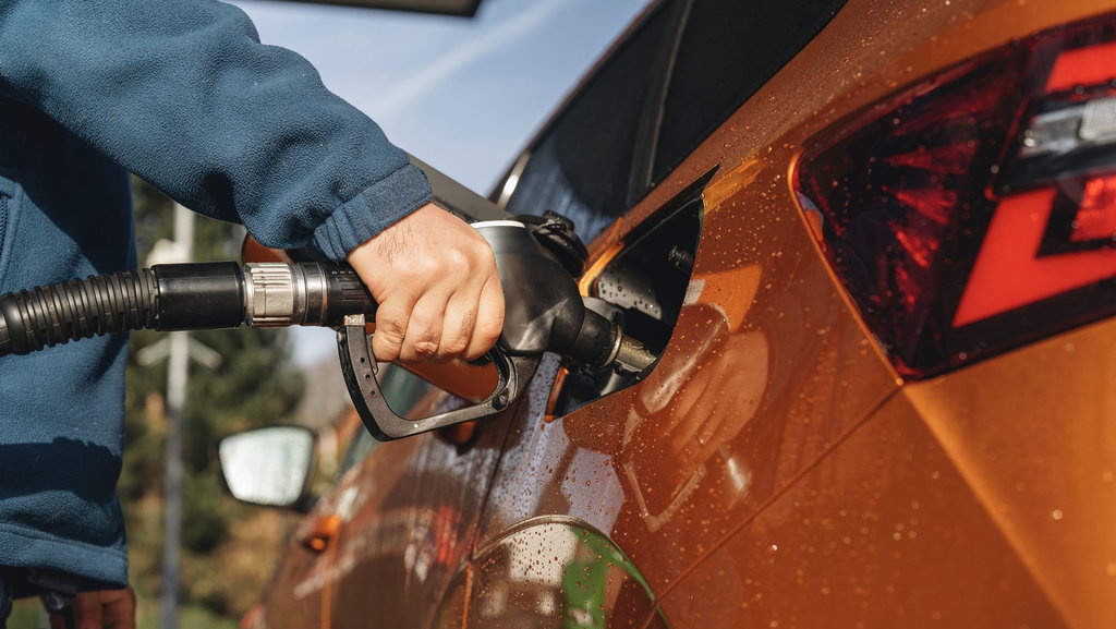 Dampak Deforestasi Mengintip di Balik Transisi Energi Bioetanol Dampak Deforestasi Mengintip di Balik Transisi Energi Bioetanol