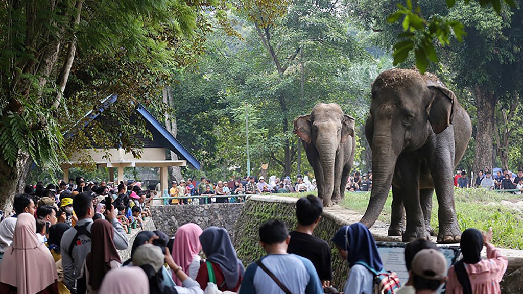 Pengelola: Penyediaan Pakan di Ragunan Sesuai Kebutuhan Satwa Pengelola: Penyediaan Pakan di Ragunan Sesuai Kebutuhan Satwa