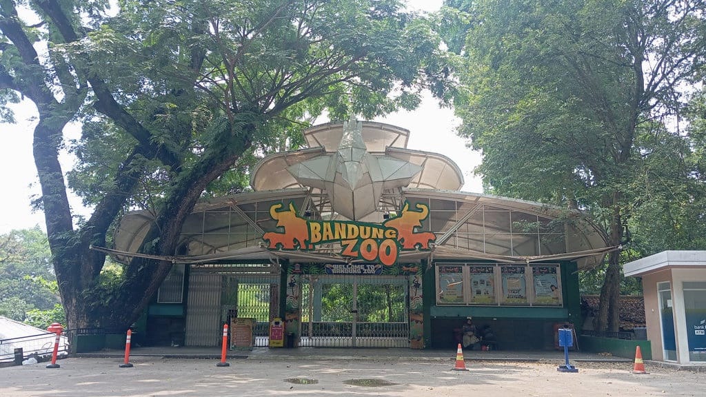 Bandung Zoo Dibuka Terbatas Selama Seminggu untuk Adaptasi Satwa Bandung Zoo Dibuka Terbatas Selama Seminggu untuk Adaptasi Satwa