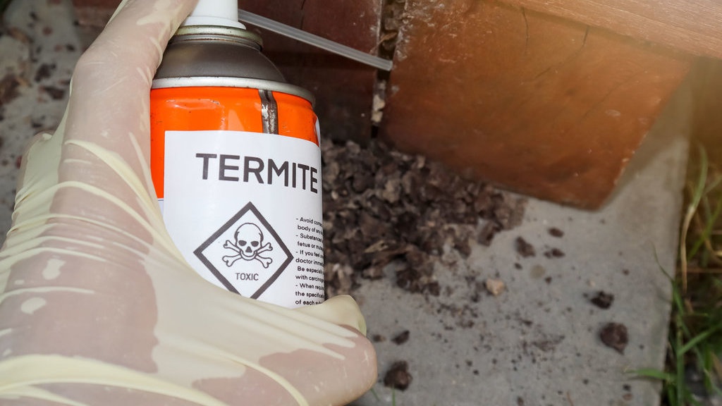 10 Pilihan Rekomendasi Obat Rayap Kayu Terbaik & Terampuh 10 Pilihan Rekomendasi Obat Rayap Kayu Terbaik & Terampuh