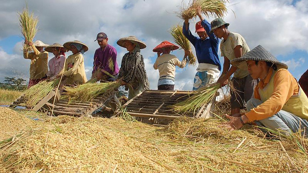 BULOG Merauke & Bombana Respons Cepat Serap Gabah & Beras Petani BULOG Merauke & Bombana Respons Cepat Serap Gabah & Beras Petani