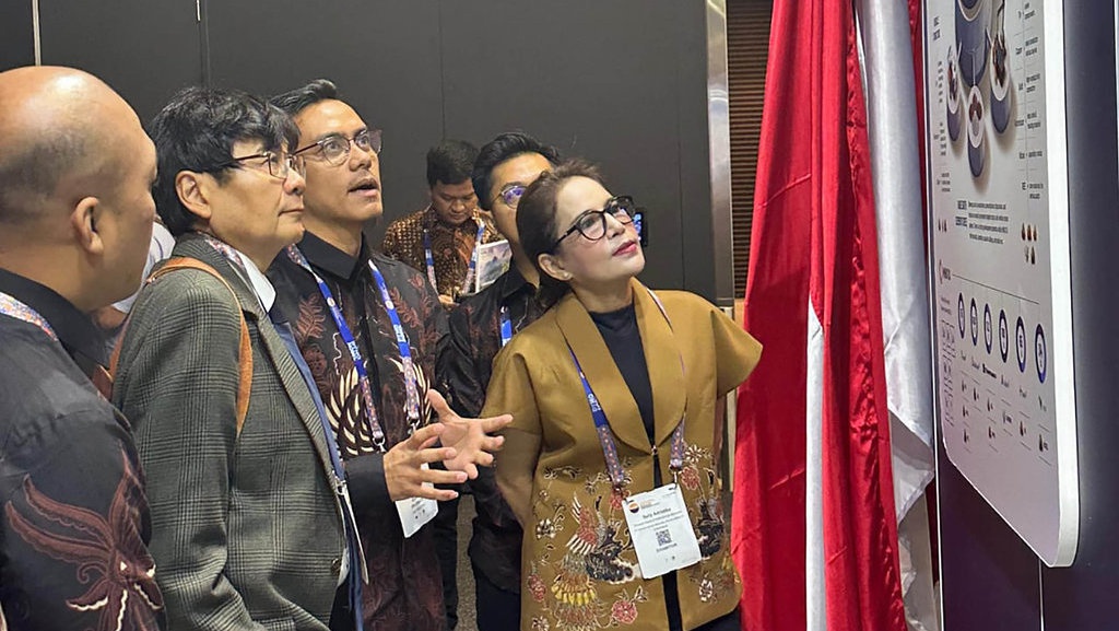 Diplomasi Mineral, Diplomasi Ekonomi Indonesia