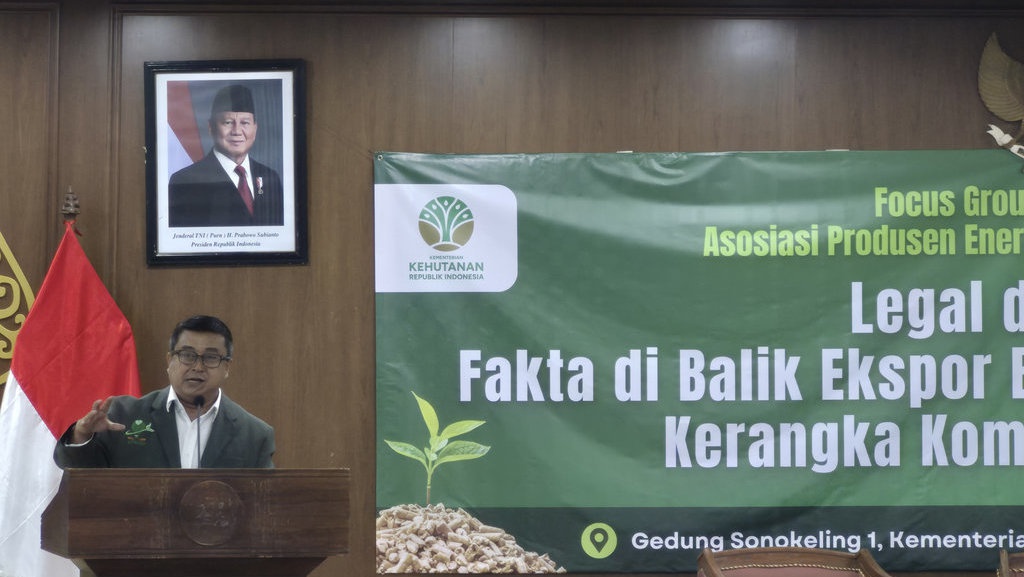 Ekspor Biomassa ke Jepang Terhambat Gara-gara Tekanan NGO Asing Ekspor Biomassa ke Jepang Terhambat Gara-gara Tekanan NGO Asing