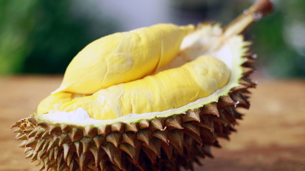 Benarkah Durian Jadi Buah Nasional Malaysia? Cek Faktanya Benarkah Durian Jadi Buah Nasional Malaysia? Cek Faktanya
