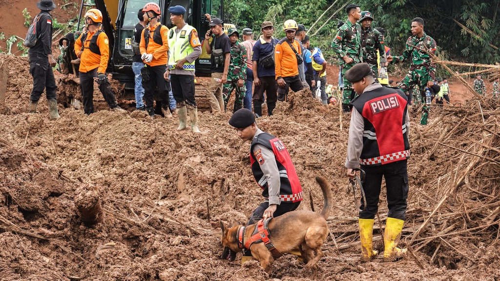 BNPB: 269 Keluarga Korban Longsor di Cilacap Bakal Direlokasi BNPB: 269 Keluarga Korban Longsor di Cilacap Bakal Direlokasi