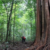 Benarkah Bumi Lebih Hijau Berkat