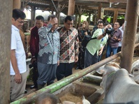 Indonesia Targetkan Swasembada Daging 10 Tahun Mendatang