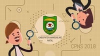 Cek Hasil SKD CPNS 2018 Kabupaten Mandailing Natal
