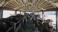 Belum Ada Rekomendasi, Impor Daging Sapi Asal Brasil Tertahan