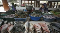 Ironi Indonesia sebagai Negara Maritim, tapi Masih Impor Ikan