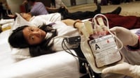 Hari Donor Darah Sedunia 2023: Manfaat Donor Darah & Syaratnya