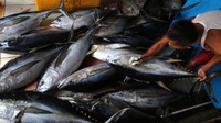 Pelaku Usaha Patut Cermati Aturan Impor Ikan AS