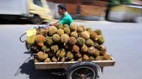 Omzet Durian Trenggalek Ditaksir Capai Rp300 Miliar