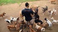 Menyejahterakan Satwa Ala Jakarta Animal Aid Network
