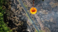 Kebakaran Hutan RI Dapat Sebabkan 100.000 Kematian Prematur