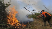 Kebakaran Lahan di Palembang
