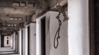Jeffrey Epstein Terdakwa Perdagangan Seks Bunuh Diri di Penjara