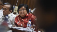 Menteri LHK: Lahan Gambut Potensial Ditanami Sengon