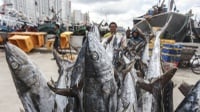 KKP Tingkatkan Ekspor ke Uni Eropa Lewat Seafood Expo Global