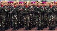 DPR Apresiasi Kapasitas Prajurit TNI