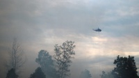 Jokowi Ancam Cabut Izin Semua Perusahaan Pembakar Hutan 