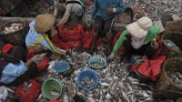Nelayan Kupang Tuntut Ganti Rugi dari Australia
