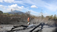 Transparansi Data Dapat Cegah Terulangnya Kebakaran Hutan 