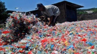 Berharap Pada Ulat Pemakan Sampah Plastik