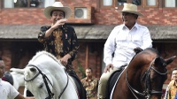 Kodok Jokowi, Kuda Prabowo
