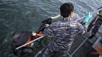 Basarnas Perluas Pencarian Korban Kapal Vietnam