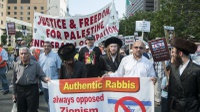 Yahudi yang Anti-Zionis, Yahudi yang Pro-Palestina