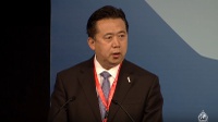 Wakil Cina Dilantik Menjadi Presiden Interpol 