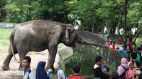 Harga Tiket Masuk Gembira Loka Zoo & Kids Fun Jogja Lebaran 2024