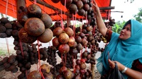 Manggis Bali Disukai Importir Cina, Bersaing dengan Thailand