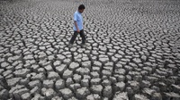 Antisipasi El Nino, Bapanas Minta Pemda Perkuat Cadangan Pangan