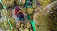 Saat Durian Mulai Jatuh, Sarung Malah Naik