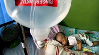 Apa Saja Fase Demam Berdarah Dengue DBD pada Anak dan Dewasa