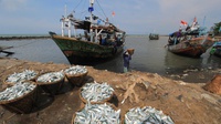 Cara KKP Dorong Nelayan Ganti Alat Tangkap Cantrang