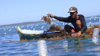 Petani Rumput Laut NTT Menang Gugatan di Australia