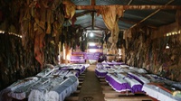 Kebijakan Luar Negeri AS Turut Memicu Genosida di Rwanda