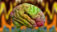 Betapa Misteriusnya Otak dan Ingatan Manusia